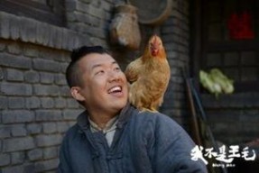 我不是王毛,一场关于身份与认同的深刻探讨