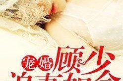 偏执凌少宠妻如命,凌少的独家宠爱